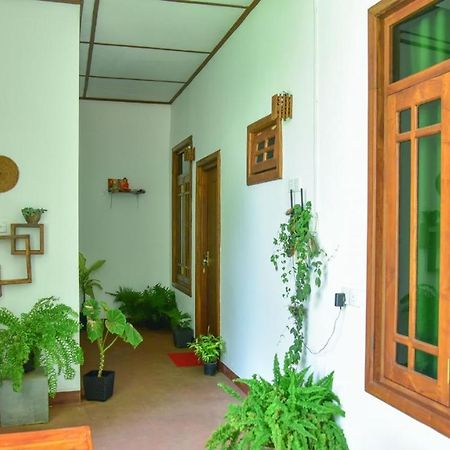 Menara Green Inn Dambulla Exteriér fotografie
