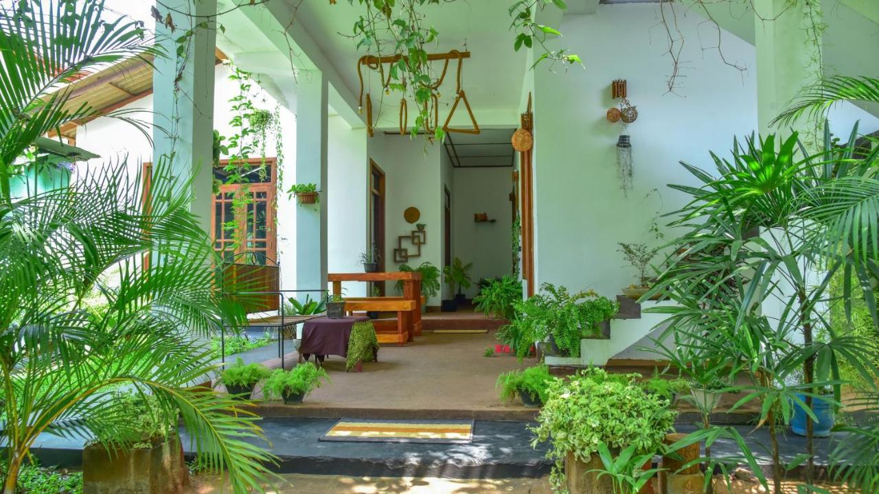 Menara Green Inn Dambulla Exteriér fotografie