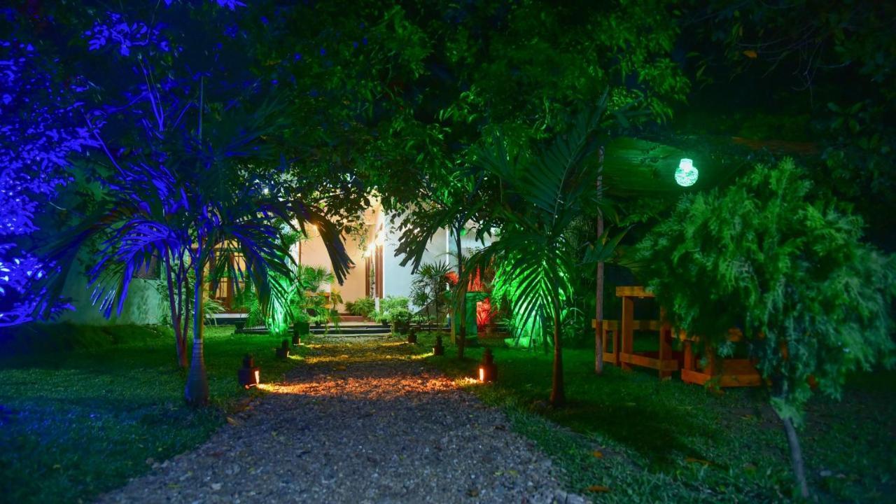 Menara Green Inn Dambulla Exteriér fotografie
