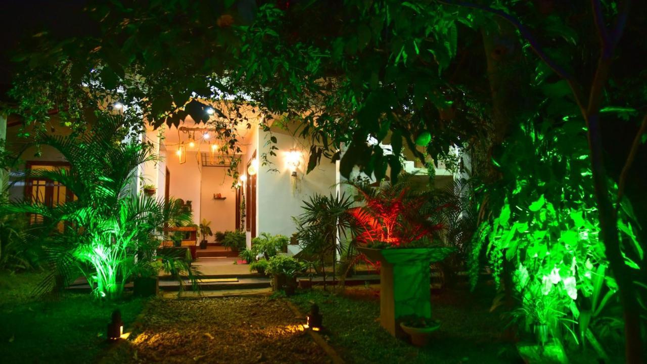 Menara Green Inn Dambulla Exteriér fotografie