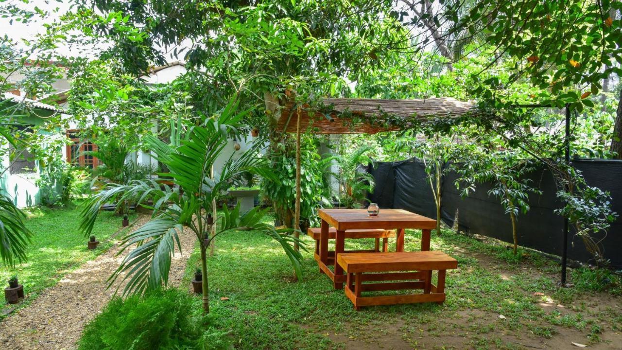 Menara Green Inn Dambulla Exteriér fotografie