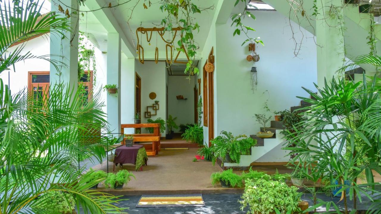 Menara Green Inn Dambulla Exteriér fotografie