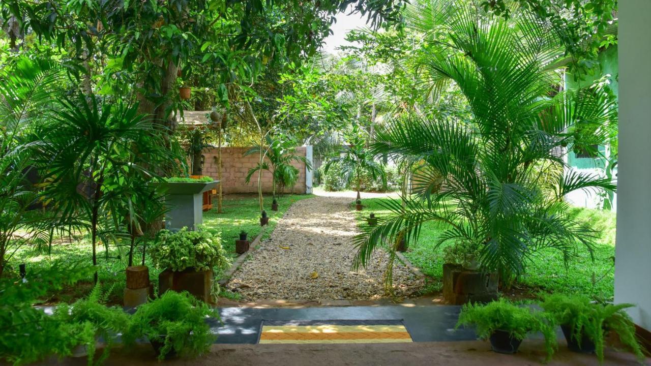Menara Green Inn Dambulla Exteriér fotografie