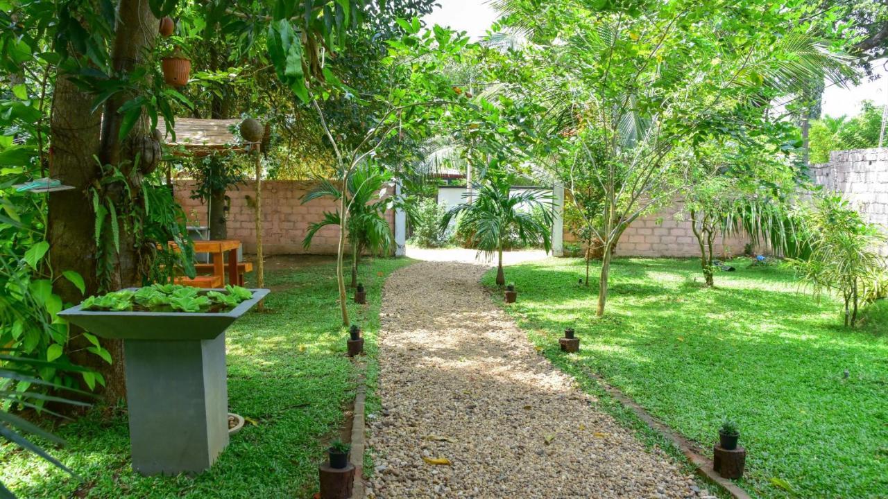 Menara Green Inn Dambulla Exteriér fotografie