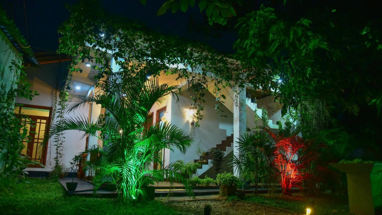Menara Green Inn Dambulla Exteriér fotografie