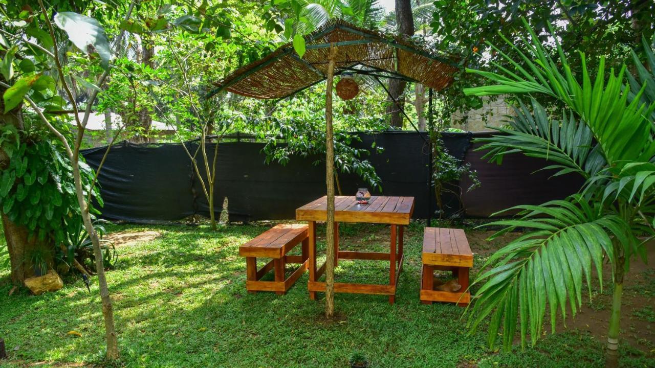 Menara Green Inn Dambulla Exteriér fotografie