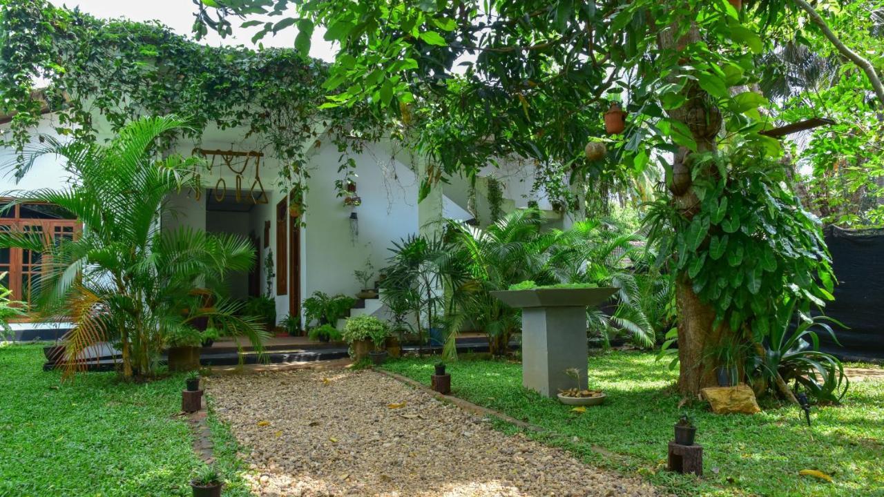 Menara Green Inn Dambulla Exteriér fotografie
