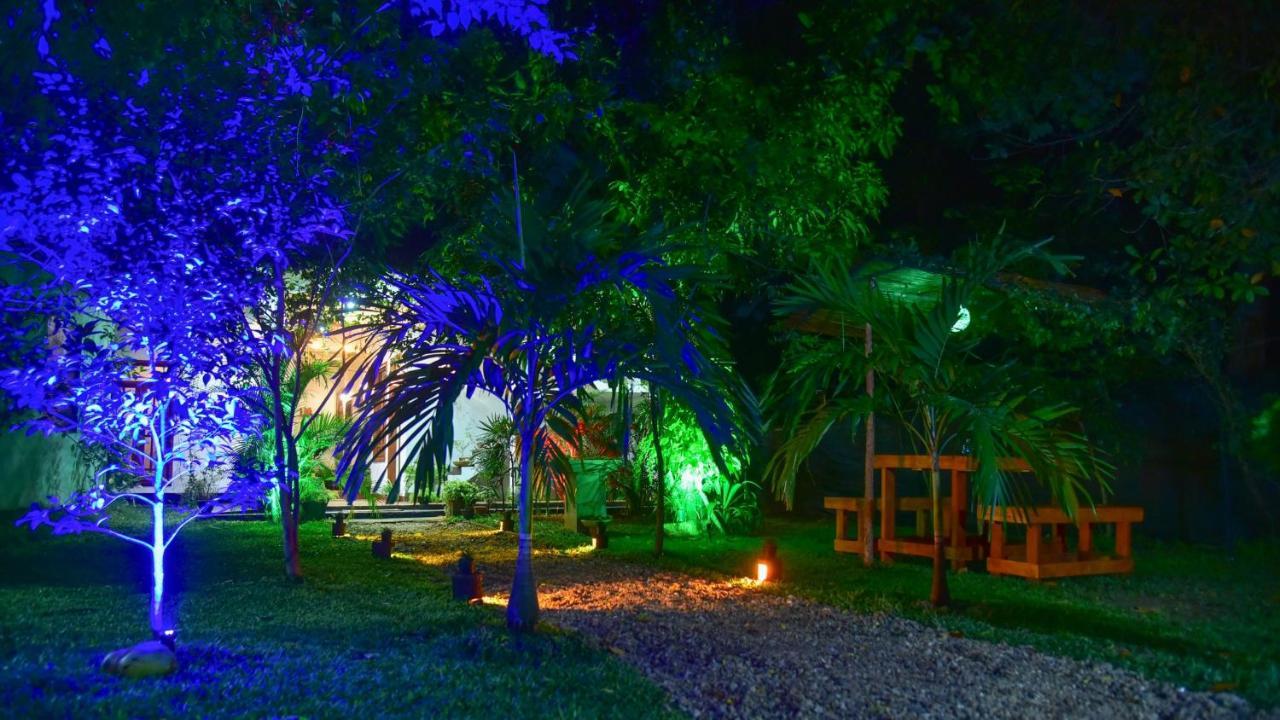 Menara Green Inn Dambulla Exteriér fotografie