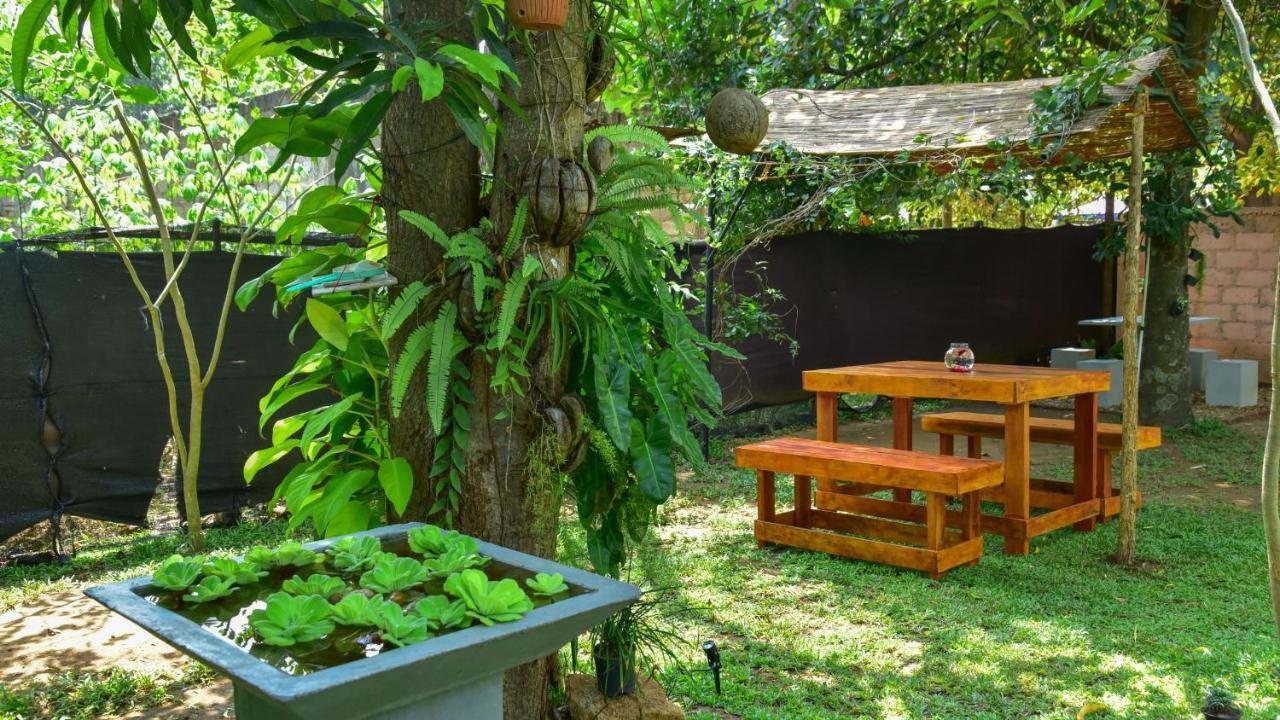Menara Green Inn Dambulla Exteriér fotografie
