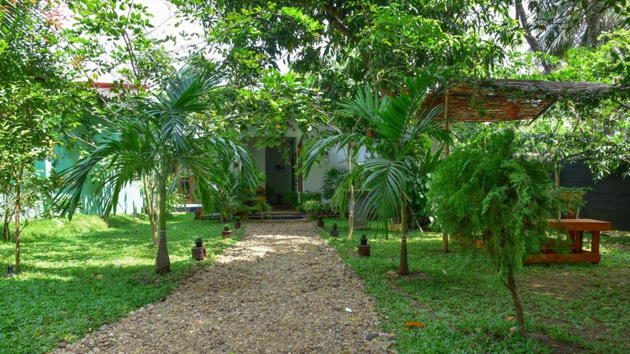 Menara Green Inn Dambulla Exteriér fotografie