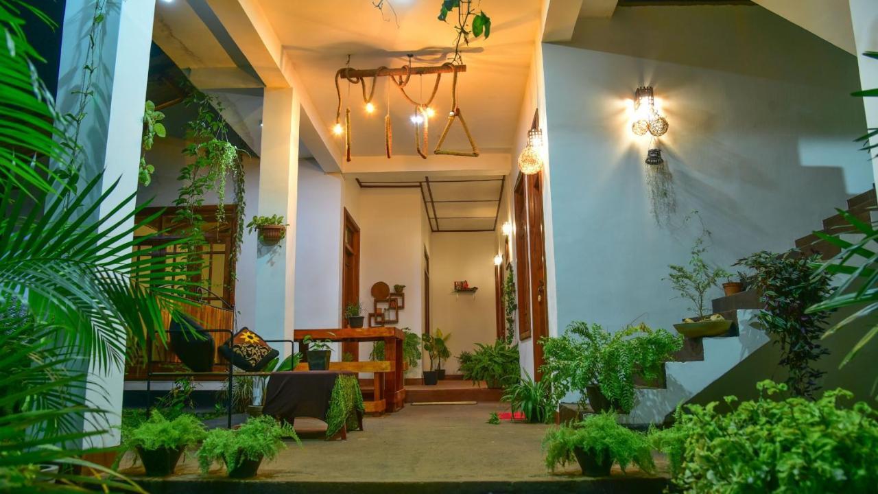 Menara Green Inn Dambulla Exteriér fotografie