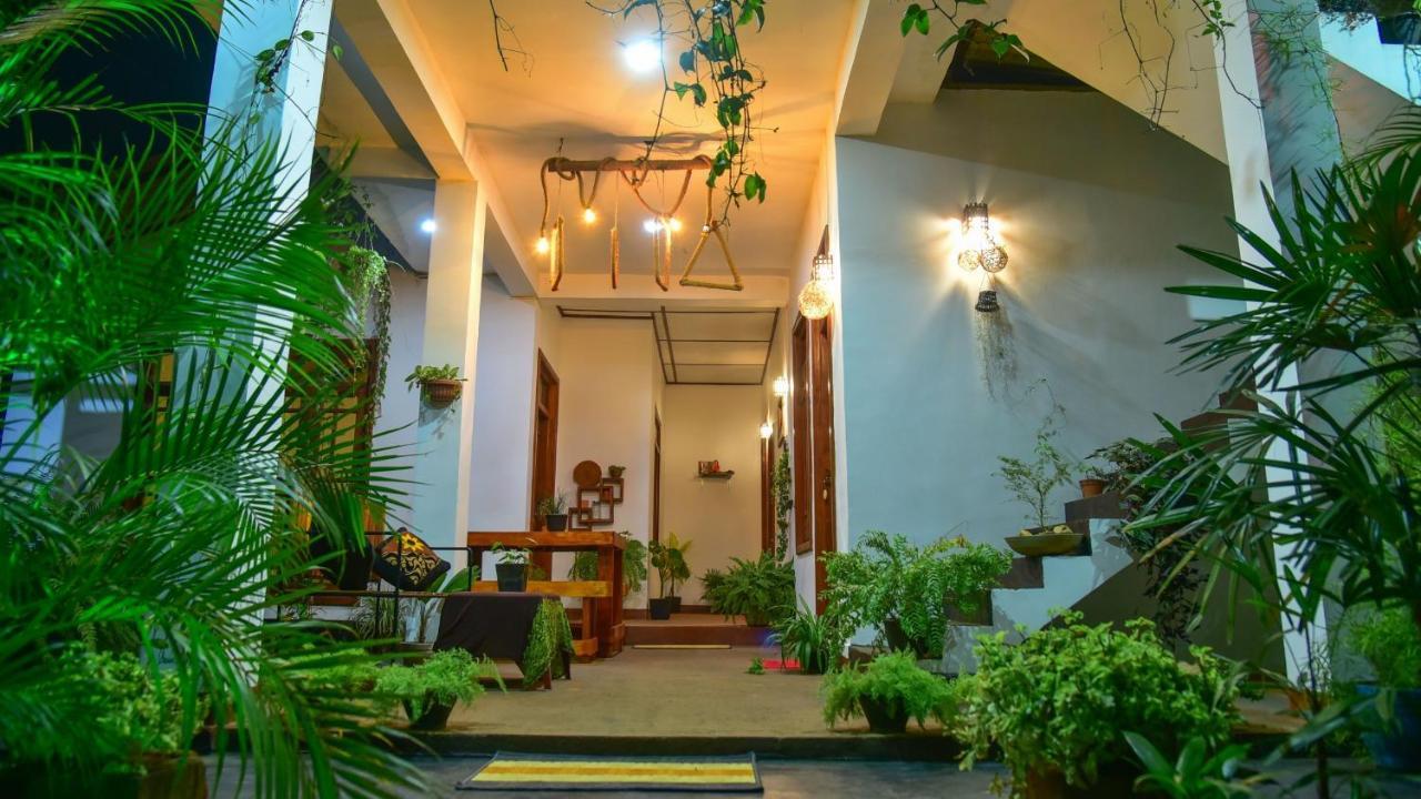 Menara Green Inn Dambulla Exteriér fotografie
