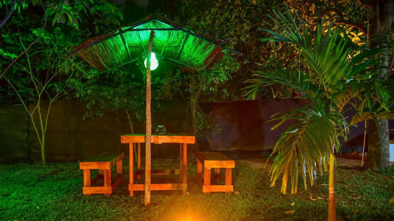 Menara Green Inn Dambulla Exteriér fotografie