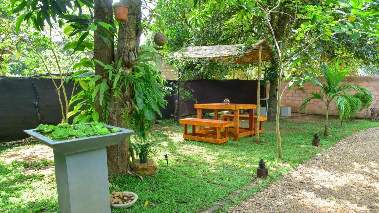 Menara Green Inn Dambulla Exteriér fotografie